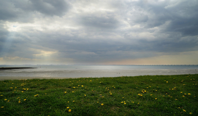 <i class='fa fa-user'></i>&nbsp;Nel R&nbsp;|  Langs de Oosterschelde&nbsp; <i class='fa fa-eye'>&nbsp;81</i> &nbsp; <i class='fa fa-comment-o'>&nbsp;2</i>