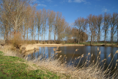 <i class='fa fa-user'></i>&nbsp;B.M.Schouten-Ruis&nbsp;|  Brilletjes water&nbsp; <i class='fa fa-eye'>&nbsp;87</i> &nbsp; <i class='fa fa-comment-o'>&nbsp;3</i>