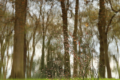 <i class='fa fa-user'></i>&nbsp;frbeuming&nbsp;|  Spiegelend water&nbsp; <i class='fa fa-eye'>&nbsp;84</i> &nbsp; <i class='fa fa-comment-o'>&nbsp;2</i>