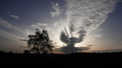 <i class='fa fa-user'></i>&nbsp;nelappelmelk&nbsp;|  Wolkenlucht&nbsp; <i class='fa fa-eye'>&nbsp;99</i> &nbsp;<i class='fa fa-thumbs-up'>&nbsp;1</i> &nbsp; <i class='fa fa-comment-o'>&nbsp;5</i>