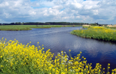 <i class='fa fa-user'></i>&nbsp;B.M.Schouten-Ruis&nbsp;|  Landschap met water&nbsp; <i class='fa fa-eye'>&nbsp;93</i> &nbsp; <i class='fa fa-comment-o'>&nbsp;7</i>