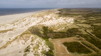 <i class='fa fa-user'></i>&nbsp;Arjen Drost&nbsp;|  Strand - duin - kwelder&nbsp; <i class='fa fa-eye'>&nbsp;93</i> &nbsp; <i class='fa fa-comment-o'>&nbsp;3</i>