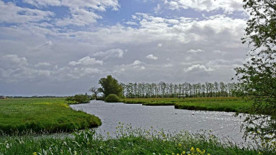<i class='fa fa-user'></i>&nbsp;kooyammers&nbsp;|  Wetering West&nbsp; <i class='fa fa-eye'>&nbsp;69</i> &nbsp; <i class='fa fa-comment-o'>&nbsp;1</i>