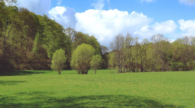 <i class='fa fa-user'></i>&nbsp;Ben Aalders&nbsp;|  Lampertsbachtal&nbsp; <i class='fa fa-eye'>&nbsp;78</i> &nbsp;<i class='fa fa-thumbs-up'>&nbsp;1</i> &nbsp; <i class='fa fa-comment-o'>&nbsp;3</i>