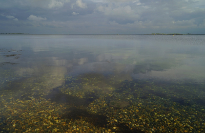 <i class='fa fa-user'></i>&nbsp;Nel R&nbsp;|  Avond aan het water&nbsp; <i class='fa fa-eye'>&nbsp;71</i> &nbsp;<i class='fa fa-thumbs-up'>&nbsp;1</i> &nbsp; <i class='fa fa-comment-o'>&nbsp;6</i>