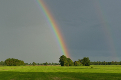 <i class='fa fa-user'></i>&nbsp;frbeuming&nbsp;|  Regenboog&nbsp; <i class='fa fa-eye'>&nbsp;49</i> &nbsp; <i class='fa fa-comment-o'>&nbsp;2</i>