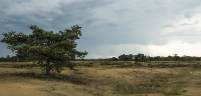 <i class='fa fa-user'></i>&nbsp;Nico_Leenheer&nbsp;|  Hoge Veluwe&nbsp; <i class='fa fa-eye'>&nbsp;82</i> &nbsp; <i class='fa fa-comment-o'>&nbsp;4</i>