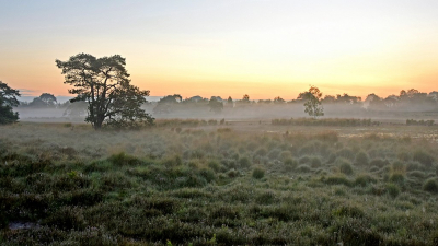 <i class='fa fa-user'></i>&nbsp;kooyammers&nbsp;|  Strijbeekse Heide&nbsp; <i class='fa fa-eye'>&nbsp;61</i> &nbsp; <i class='fa fa-comment-o'>&nbsp;3</i>