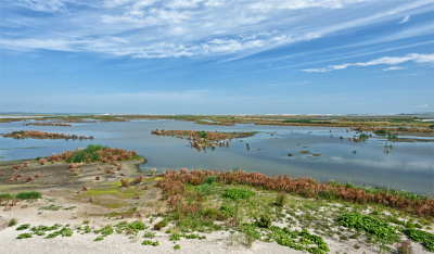 Op het eiland zelf heb je mooie wandelroutes. Vanwege het broedseizoen kon je niet langs alle paden. Maar er bleef genoeg over. Je bent 1 uur met de boot onderweg. Vervolgens heb je 3 1/2 uur te besteden op het eiland. Dus het was op het laatst wel even goed mikken.