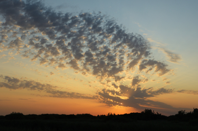 <i class='fa fa-user'></i>&nbsp;Hendrik van Kampen&nbsp;|  Altocumulus&nbsp; <i class='fa fa-eye'>&nbsp;90</i> &nbsp;<i class='fa fa-thumbs-up'>&nbsp;4</i> &nbsp; <i class='fa fa-comment-o'>&nbsp;5</i>