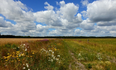 <i class='fa fa-user'></i>&nbsp;sieb&nbsp;|  Doldersummerveld&nbsp; <i class='fa fa-eye'>&nbsp;86</i> &nbsp;<i class='fa fa-thumbs-up'>&nbsp;4</i> &nbsp; <i class='fa fa-comment-o'>&nbsp;3</i>