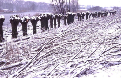 <i class='fa fa-user'></i> Hans de Braal | winterlandschap langs de Linge  <i class='fa fa-eye'> 412</i>   <i class='fa fa-comment-o'> 0</i>