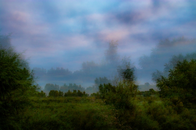 <i class='fa fa-user'></i>&nbsp;kiran&nbsp;|  Ochtendstemming in de polder&nbsp; <i class='fa fa-eye'>&nbsp;83</i> &nbsp;<i class='fa fa-thumbs-up'>&nbsp;2</i> &nbsp; <i class='fa fa-comment-o'>&nbsp;6</i>