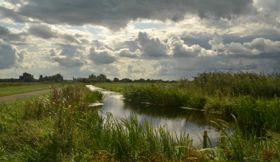 <i class='fa fa-user'></i>&nbsp;B.M.Schouten-Ruis&nbsp;|  Landschap&nbsp; <i class='fa fa-eye'>&nbsp;84</i> &nbsp;<i class='fa fa-thumbs-up'>&nbsp;5</i> &nbsp; <i class='fa fa-comment-o'>&nbsp;5</i>