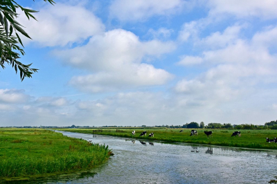 <i class='fa fa-user'></i>&nbsp;kooyammers&nbsp;|  Polder in de Krimpenerwaard &nbsp; <i class='fa fa-eye'>&nbsp;72</i> &nbsp;<i class='fa fa-thumbs-up'>&nbsp;1</i> &nbsp; <i class='fa fa-comment-o'>&nbsp;5</i>