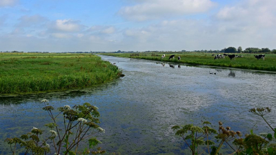 <i class='fa fa-user'></i>&nbsp;kooyammers&nbsp;|  Polder in de Krimpenerwaard II&nbsp; <i class='fa fa-eye'>&nbsp;68</i> &nbsp;<i class='fa fa-thumbs-up'>&nbsp;2</i> &nbsp; <i class='fa fa-comment-o'>&nbsp;5</i>