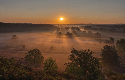 <i class='fa fa-user'></i>&nbsp;Jurgen Maassen&nbsp;|  Brunssummerheide&nbsp; <i class='fa fa-eye'>&nbsp;137</i> &nbsp;<i class='fa fa-thumbs-up'>&nbsp;10</i> &nbsp; <i class='fa fa-comment-o'>&nbsp;7</i>