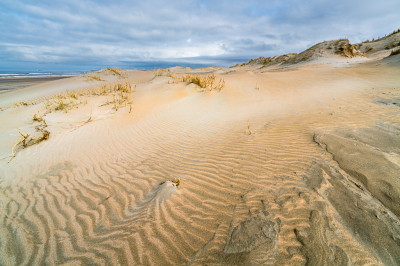 <i class='fa fa-user'></i>&nbsp;Loes Belovics&nbsp;|  Strand na ruig weer&nbsp; <i class='fa fa-eye'>&nbsp;99</i> &nbsp; <i class='fa fa-comment-o'>&nbsp;6</i>