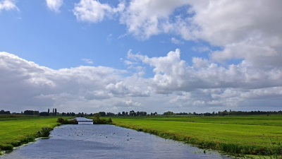 <i class='fa fa-user'></i>&nbsp;kooyammers&nbsp;|  Polder Bergambacht&nbsp; <i class='fa fa-eye'>&nbsp;77</i> &nbsp;<i class='fa fa-thumbs-up'>&nbsp;2</i> &nbsp; <i class='fa fa-comment-o'>&nbsp;3</i>