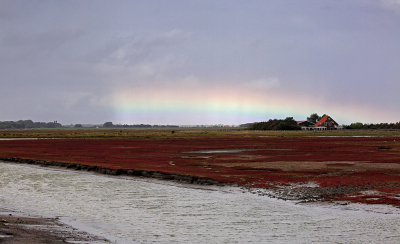 <i class='fa fa-user'></i>&nbsp;Pieter  LJ&nbsp;|  Rare regenboog&nbsp; <i class='fa fa-eye'>&nbsp;165</i> &nbsp;<i class='fa fa-thumbs-up'>&nbsp;2</i> &nbsp; <i class='fa fa-comment-o'>&nbsp;9</i>