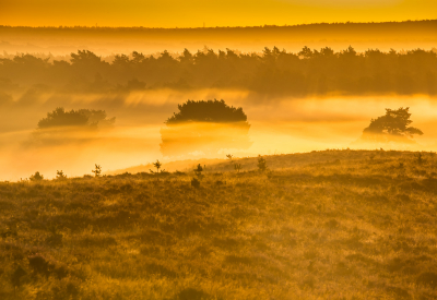 <i class='fa fa-user'></i>&nbsp;David&nbsp;|  Zonsopkomst op de Veluwe&nbsp; <i class='fa fa-eye'>&nbsp;104</i> &nbsp;<i class='fa fa-thumbs-up'>&nbsp;2</i> &nbsp; <i class='fa fa-comment-o'>&nbsp;4</i>