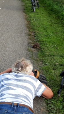 Hier dan de foto van de "making of", ongemerkt gemaakt door een van de voorbijgangers. Ik had mijn fiets wat verderop in het gras gezet om deze niet ongewild in beeld te krijgen.