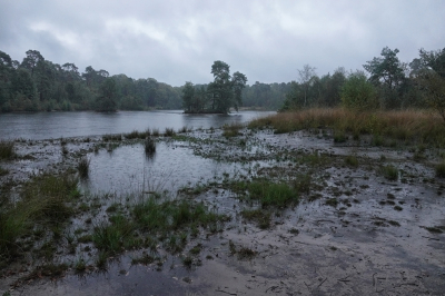<i class='fa fa-user'></i>&nbsp;nelappelmelk&nbsp;|  Regen bij het ven&nbsp; <i class='fa fa-eye'>&nbsp;101</i> &nbsp; <i class='fa fa-comment-o'>&nbsp;7</i>