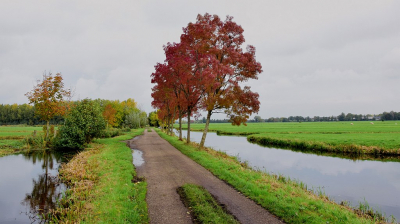 <i class='fa fa-user'></i>&nbsp;kooyammers&nbsp;|  De Herfst zet door!&nbsp; <i class='fa fa-eye'>&nbsp;112</i> &nbsp;<i class='fa fa-thumbs-up'>&nbsp;2</i> &nbsp; <i class='fa fa-comment-o'>&nbsp;5</i>