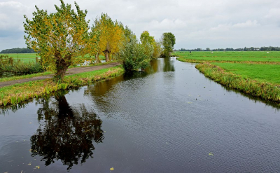 <i class='fa fa-user'></i>&nbsp;kooyammers&nbsp;|  Herfst langs de polderwegen&nbsp; <i class='fa fa-eye'>&nbsp;81</i> &nbsp; <i class='fa fa-comment-o'>&nbsp;2</i>