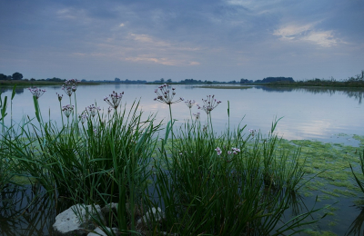 <i class='fa fa-user'></i>&nbsp;Ben Aalders&nbsp;|  Avond aan de IJssel&nbsp; <i class='fa fa-eye'>&nbsp;88</i> &nbsp;<i class='fa fa-thumbs-up'>&nbsp;2</i> &nbsp; <i class='fa fa-comment-o'>&nbsp;5</i>