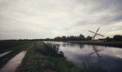 <i class='fa fa-user'></i>&nbsp;Tineke Strijbosch&nbsp;|  Witte Molen&nbsp; <i class='fa fa-eye'>&nbsp;86</i> &nbsp; <i class='fa fa-comment-o'>&nbsp;2</i>