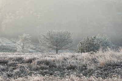 <i class='fa fa-user'></i>&nbsp;nelappelmelk&nbsp;|  Speldenprik van de winter 3&nbsp; <i class='fa fa-eye'>&nbsp;113</i> &nbsp;<i class='fa fa-thumbs-up'>&nbsp;1</i> &nbsp; <i class='fa fa-comment-o'>&nbsp;4</i>