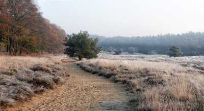 <i class='fa fa-user'></i>&nbsp;nelappelmelk&nbsp;|  Overgang herfst naar winter&nbsp; <i class='fa fa-eye'>&nbsp;137</i> &nbsp;<i class='fa fa-thumbs-up'>&nbsp;6</i> &nbsp; <i class='fa fa-comment-o'>&nbsp;8</i>