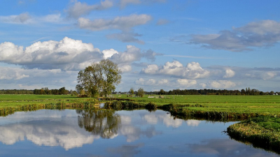 <i class='fa fa-user'></i>&nbsp;kooyammers&nbsp;|  Polder Benedenkerk&nbsp; <i class='fa fa-eye'>&nbsp;67</i> &nbsp;<i class='fa fa-thumbs-up'>&nbsp;2</i> &nbsp; <i class='fa fa-comment-o'>&nbsp;5</i>