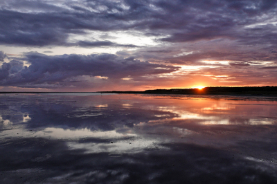 <i class='fa fa-user'></i>&nbsp;nelappelmelk&nbsp;|  Felle kleuren&nbsp; <i class='fa fa-eye'>&nbsp;112</i> &nbsp;<i class='fa fa-thumbs-up'>&nbsp;3</i> &nbsp; <i class='fa fa-comment-o'>&nbsp;7</i>