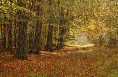 <i class='fa fa-user'></i>&nbsp;Nel R&nbsp;|  Regen en zonneschijn&nbsp; <i class='fa fa-eye'>&nbsp;173</i> &nbsp;<i class='fa fa-thumbs-up'>&nbsp;3</i> &nbsp; <i class='fa fa-comment-o'>&nbsp;6</i>
