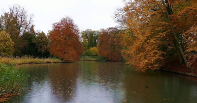 <i class='fa fa-user'></i>&nbsp;Ben Aalders&nbsp;|  Herfstkleuren&nbsp; <i class='fa fa-eye'>&nbsp;90</i> &nbsp;<i class='fa fa-thumbs-up'>&nbsp;1</i> &nbsp; <i class='fa fa-comment-o'>&nbsp;4</i>