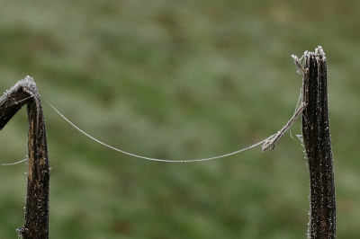 <i class='fa fa-user'></i>&nbsp;frbeuming&nbsp;|  Wintertrapeze&nbsp; <i class='fa fa-eye'>&nbsp;71</i> &nbsp; <i class='fa fa-comment-o'>&nbsp;2</i>