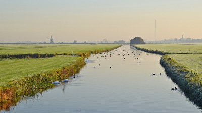 <i class='fa fa-user'></i>&nbsp;kooyammers&nbsp;|  Polder Noord Zevender&nbsp; <i class='fa fa-eye'>&nbsp;99</i> &nbsp;<i class='fa fa-thumbs-up'>&nbsp;5</i> &nbsp; <i class='fa fa-comment-o'>&nbsp;6</i>