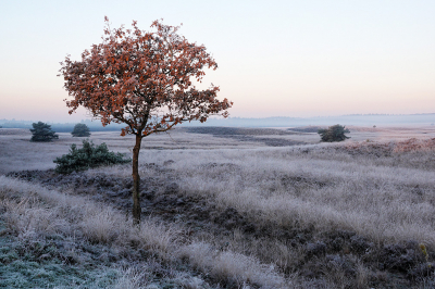 <i class='fa fa-user'></i>&nbsp;nelappelmelk&nbsp;|  Winters uitzicht&nbsp; <i class='fa fa-eye'>&nbsp;127</i> &nbsp;<i class='fa fa-thumbs-up'>&nbsp;2</i> &nbsp; <i class='fa fa-comment-o'>&nbsp;5</i>