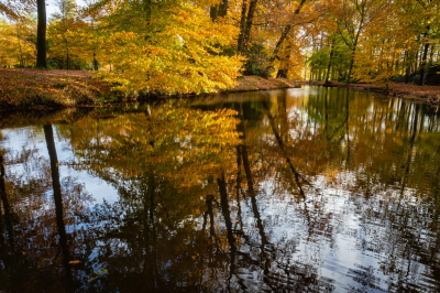 <i class='fa fa-user'></i>&nbsp;Jan Huijbers&nbsp;|  Herfst bij kasteel Staverden&nbsp; <i class='fa fa-eye'>&nbsp;91</i> &nbsp; <i class='fa fa-comment-o'>&nbsp;5</i>