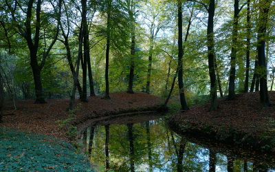 <i class='fa fa-user'></i>&nbsp;Ben Aalders&nbsp;|  Herfstkleuren&nbsp; <i class='fa fa-eye'>&nbsp;92</i> &nbsp; <i class='fa fa-comment-o'>&nbsp;2</i>