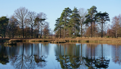 <i class='fa fa-user'></i>&nbsp;Ben Aalders&nbsp;|  Dwingelderveld&nbsp; <i class='fa fa-eye'>&nbsp;55</i> &nbsp; <i class='fa fa-comment-o'>&nbsp;2</i>