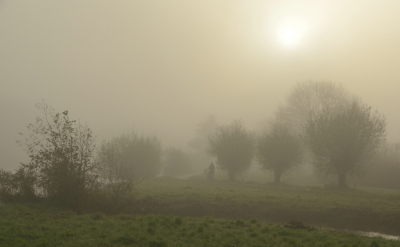 <i class='fa fa-user'></i>&nbsp;B.M.Schouten-Ruis&nbsp;|  Mistig landschap&nbsp; <i class='fa fa-eye'>&nbsp;100</i> &nbsp;<i class='fa fa-thumbs-up'>&nbsp;7</i> &nbsp; <i class='fa fa-comment-o'>&nbsp;12</i>
