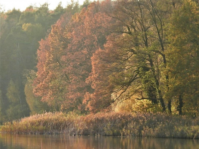 <i class='fa fa-user'></i>&nbsp;Steven_Schulting&nbsp;|  Autumn Colors&nbsp; <i class='fa fa-eye'>&nbsp;72</i> &nbsp; <i class='fa fa-comment-o'>&nbsp;3</i>