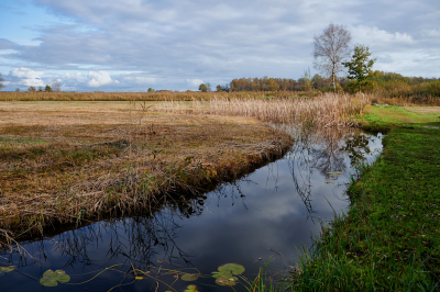 <i class='fa fa-user'></i>&nbsp;HenkvanOosten&nbsp;|  De Weerribben&nbsp; <i class='fa fa-eye'>&nbsp;62</i> &nbsp; <i class='fa fa-comment-o'>&nbsp;4</i>