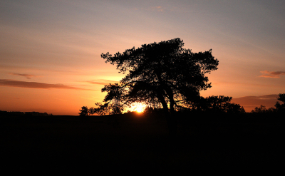<i class='fa fa-user'></i>&nbsp;nelappelmelk&nbsp;|  Zonsopkomst&nbsp; <i class='fa fa-eye'>&nbsp;90</i> &nbsp; <i class='fa fa-comment-o'>&nbsp;1</i>