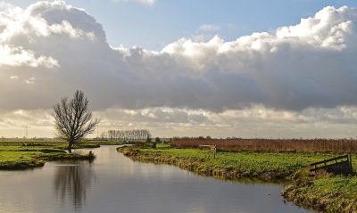 <i class='fa fa-user'></i>&nbsp;kooyammers&nbsp;|  Wetering met Wilg&nbsp; <i class='fa fa-eye'>&nbsp;102</i> &nbsp;<i class='fa fa-thumbs-up'>&nbsp;2</i> &nbsp; <i class='fa fa-comment-o'>&nbsp;3</i>