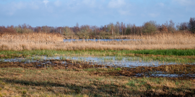 <i class='fa fa-user'></i>&nbsp;HenkvanOosten&nbsp;|  De Deelen&nbsp; <i class='fa fa-eye'>&nbsp;83</i> &nbsp; <i class='fa fa-comment-o'>&nbsp;2</i>