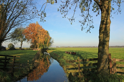 <i class='fa fa-user'></i>&nbsp;Tineke Strijbosch&nbsp;|  Polderlandschap&nbsp; <i class='fa fa-eye'>&nbsp;74</i> &nbsp; <i class='fa fa-comment-o'>&nbsp;2</i>